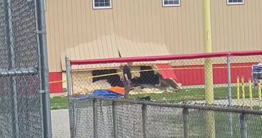 Disturbing new theory about why female driver crashed into after school club and killed four young girls