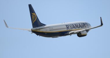Dramatic moment Ryanair flight is forced to abort landing last minute just after touching down in Tenerife during storm