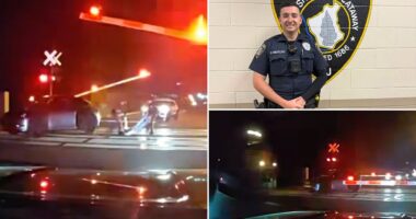 Dramatic video shows hero cops drag dazed driver from car before train smashes into it