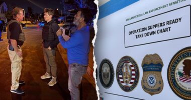 EXCLUSIVE VIDEO: DHS nabs numerous suspects in dramatic sting of rival LA gangs
