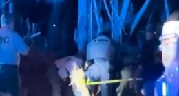 Elderly man, 89, and his dog killed in brutal black bear attack in Florida as lab workers make grisly discovery