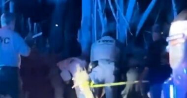 Elderly man, 89, and his dog killed in brutal black bear attack in Florida as lab workers make grisly discovery