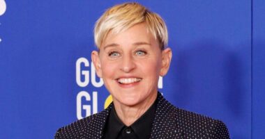 Ellen DeGeneres Flaunts New Transformation While Farming After Ditching The U.S. And Blonde Hair