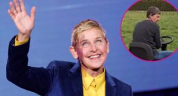 Ellen DeGeneres Shows Off Gray Hair Color After U.K. Move