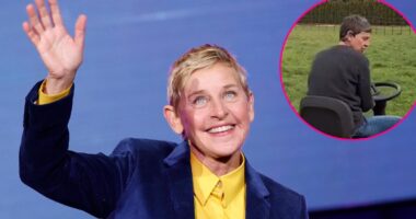 Ellen DeGeneres Shows Off Gray Hair Color After U.K. Move