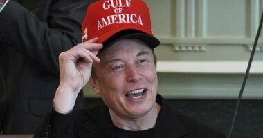 Elon Musk Has 1-Word Answer When Asked If He Regrets DOGE Role, Adds: 'At Least I Didn't Get Shot'