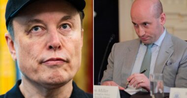 Elon Musk black eye sparks rumor over Stephen Miller's wife as she quits Trump admin for DOGE