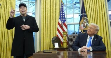 Elon Musk confirms departure from Trump's White House