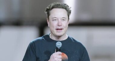 Elon Musk reveals new bombshell plan as he leaves Trump's White House