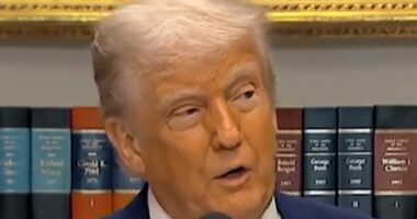 Elon Musk's AI bot weighs in on identity of Trump's overweight buddy taking 'fat shot drug'