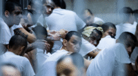 Emerging Venezuelan gang 'more violent' than Tren de Aragua targets rural America, expert warns