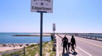 Endurance athlete to swim around Martha’s Vineyard to change public perception of sharks
