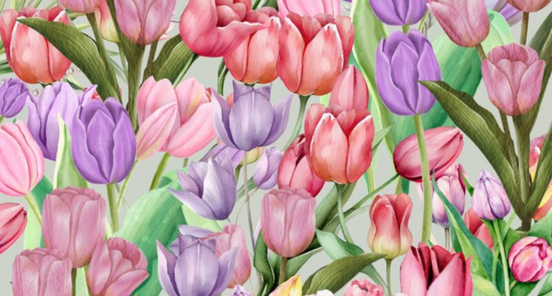 Everyone can spot the tulips but only those with a high IQ and eyes of a hawk will find the pearl necklace in 30 seconds