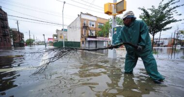 Experts issue urgent warning after discovering 28 major US cities are SINKING... is your hometown at risk?