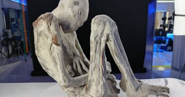 Experts studying 'alien mummies' in Peru make startling find 'that proves they're real'