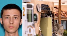 FBI identifies IVF clinic bomber as ‘pro-mortalist’ who opposed birth without consent