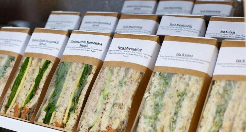 FDA issues urgent recall over outbreak across 4 states caused by bacteria-riddled snacks that hospitalized at least 10