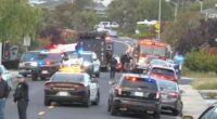 Famed guitarist killed in ‘dispute over tree trimmings’ after he grabbed three guns and opened fire from driveway