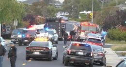 Famed guitarist killed in ‘dispute over tree trimmings’ after he grabbed three guns and opened fire from driveway