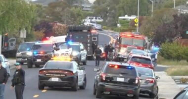 Famed guitarist killed in ‘dispute over tree trimmings’ after he grabbed three guns and opened fire from driveway