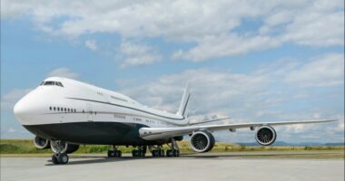 Fears Trump’s new $400m Qatari ‘flying palace’ Air Force One replacement is vulnerable to devastating HACKS – or worse