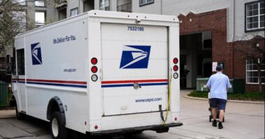FedEx board member Steiner is picked to be next USPS postmaster general amid talk of privatization