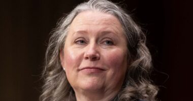 Federal judge blocks Idaho immigration law with preliminary injunction