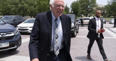 Feel the Bern of Senator Sander's Private Jet's Massive Carbon Dioxide Output
