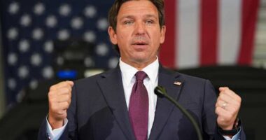 Florida Gov. Ron DeSantis signs 1 new bill into law. Here’s what it changes
