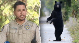 Florida man, 89, and his dog mauled to death by black bear in state's first fatal attack