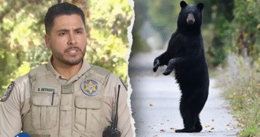 Florida man, 89, and his dog mauled to death by black bear in state's first fatal attack