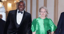 Foreign Secretary says he and his wife are victims of theft but the French taxi driver says David Lammy refused to pay... so who's taking who for a ride? GUY ADAMS investigates