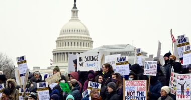 Foreign universities, governments want to hire US-based scientists amid federal funding cuts