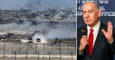 Former Israeli government spokesperson warns country is in an 'impossible bind' in Gaza