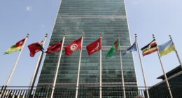 Former Trump official slams UN reform efforts as 'eight and a half years late'
