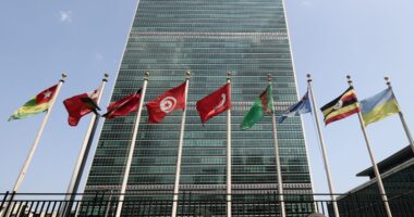 Former Trump official slams UN reform efforts as 'eight and a half years late'