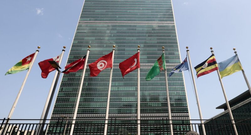 Former Trump official slams UN reform efforts as 'eight and a half years late'