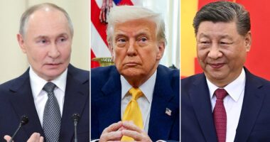 Former ambassador says Ukraine victory is key to countering China, Russia