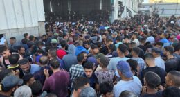 Four dead as thousands of Palestinians loot aid warehouse in Gaza