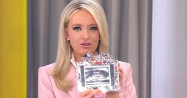 Fox News’ Kayleigh McEnany reveals she’s having a baby girl live on air in sweet moment with 2 kids and husband