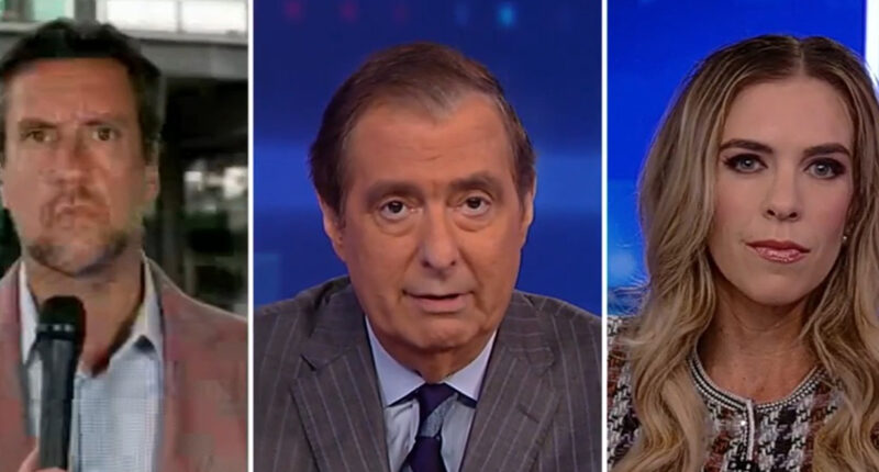 Fox News panelist tears up as she reveals heartbreaking cancer diagnosis on air during heated debate over Biden illness