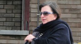 Fraudster celebrated as model reformed convict steals £37,000 after being handed job as head of HR and finance by Labour prisons minister