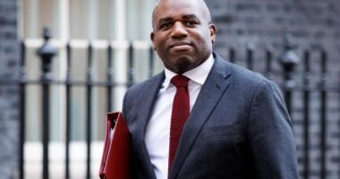 Furious taxi driver speeds off with David Lammy’s luggage ‘after he refused to pay £600 fare to get to posh ski resort’