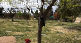 Gene Hackman's secret burial and unmarked grave where only a cryptic tribute lies... all orchestrated by children he cut from $80m will