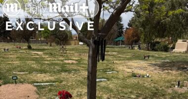 Gene Hackman's secret burial and unmarked grave where only a cryptic tribute lies... all orchestrated by children he cut from $80m will