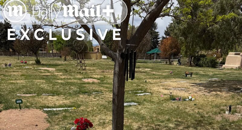 Gene Hackman's secret burial and unmarked grave where only a cryptic tribute lies... all orchestrated by children he cut from $80m will