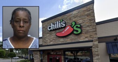 Grandma stabbed daughter-in-law as children watched: Police