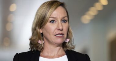 Greens choose Larissa Waters as leader to replace Adam Bandt