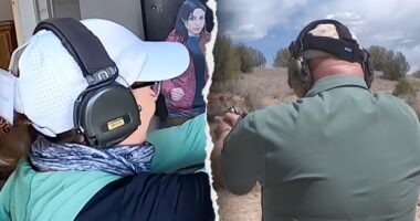 Gun training courses experience surge in sign ups: 'People don't want to be the victim anymore'