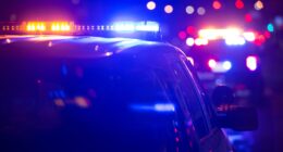 Gurnee Woodland Elementary School teacher Todd Fowler charged with disseminating child pornography, Lake County Sheriff says